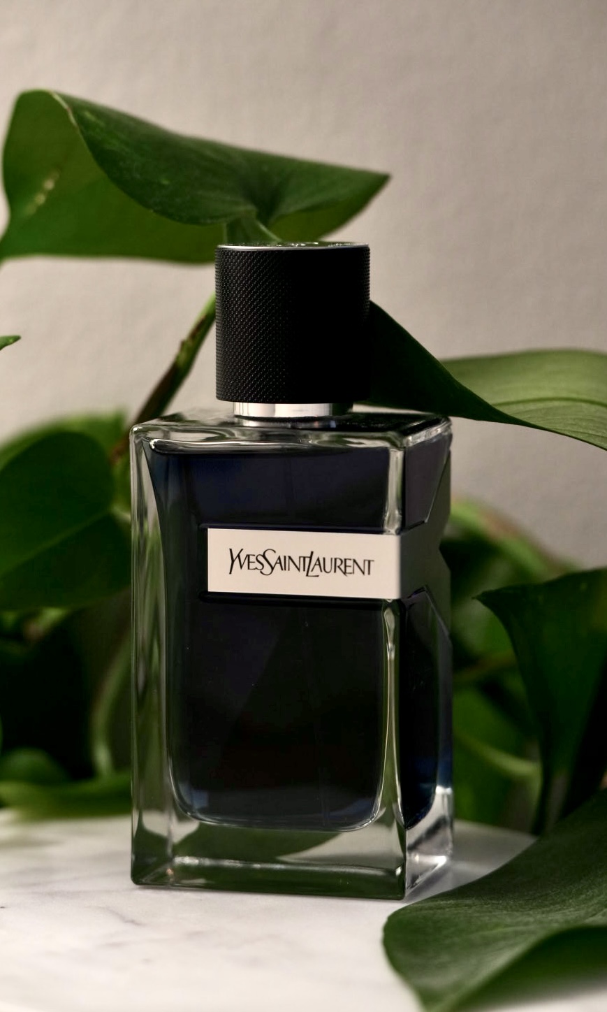 Fragrance bottle framed by green leaves on a marble surface